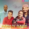 About Pahadi Bawe Song